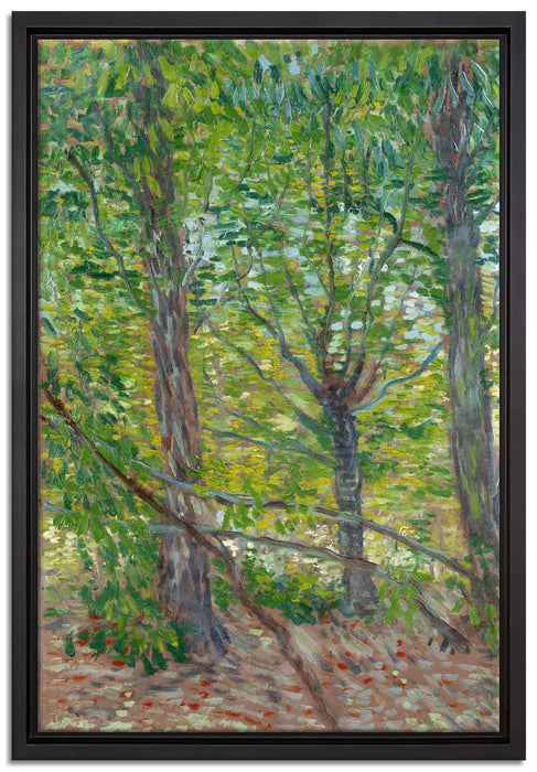 Vincent Van Gogh - Bäume   auf Leinwandbild gerahmt Größe 60x40
