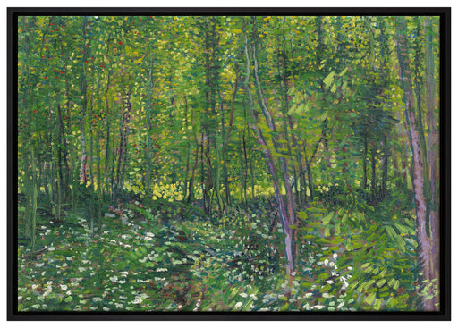 Vincent Van Gogh - Bäume und Unterholz  auf Leinwandbild gerahmt Größe 100x70