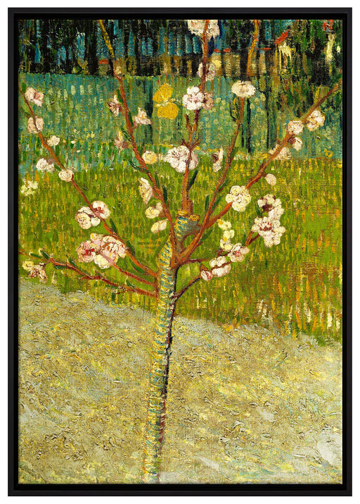 Vincent Van Gogh - Blühender Mandelbaum  auf Leinwandbild gerahmt Größe 100x70
