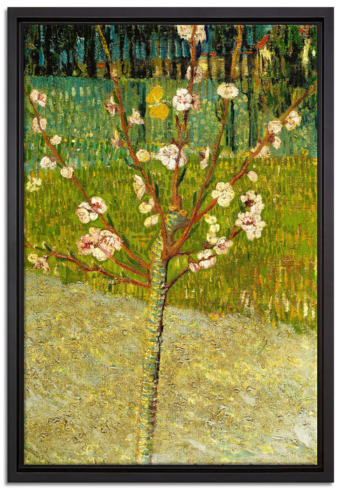 Vincent Van Gogh - Blühender Mandelbaum   auf Leinwandbild gerahmt Größe 60x40