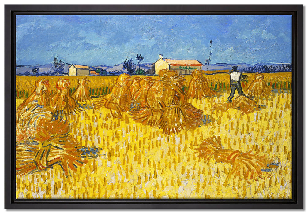 Vincent Van Gogh - Getreide-Ernte in der Provence   auf Leinwandbild gerahmt Größe 60x40