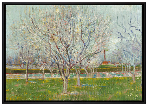 Vincent Van Gogh - Blühender Obstgarten Pflaumenbaum  auf Leinwandbild gerahmt Größe 100x70