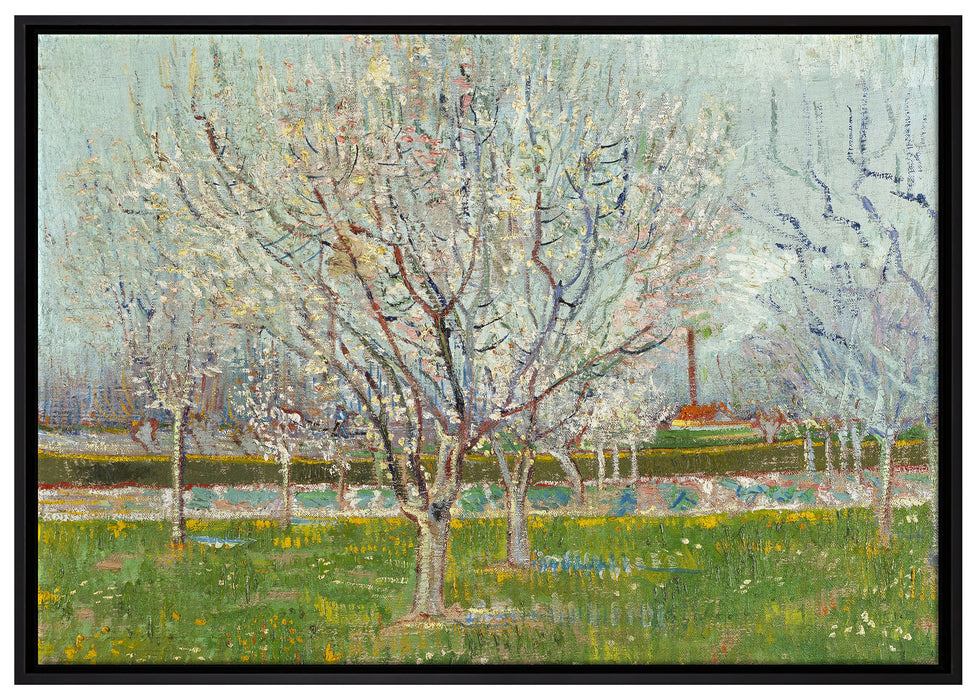 Vincent Van Gogh - Blühender Obstgarten Pflaumenbaum  auf Leinwandbild gerahmt Größe 100x70