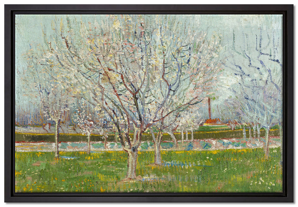 Vincent Van Gogh - Blühender Obstgarten Pflaumenbaum   auf Leinwandbild gerahmt Größe 60x40