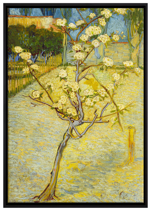 Vincent Van Gogh - Blühender kleiner Birnenbaum  auf Leinwandbild gerahmt Größe 100x70