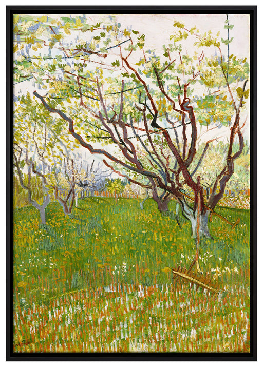 Vincent Van Gogh - Der blühende Obstgarten  auf Leinwandbild gerahmt Größe 100x70