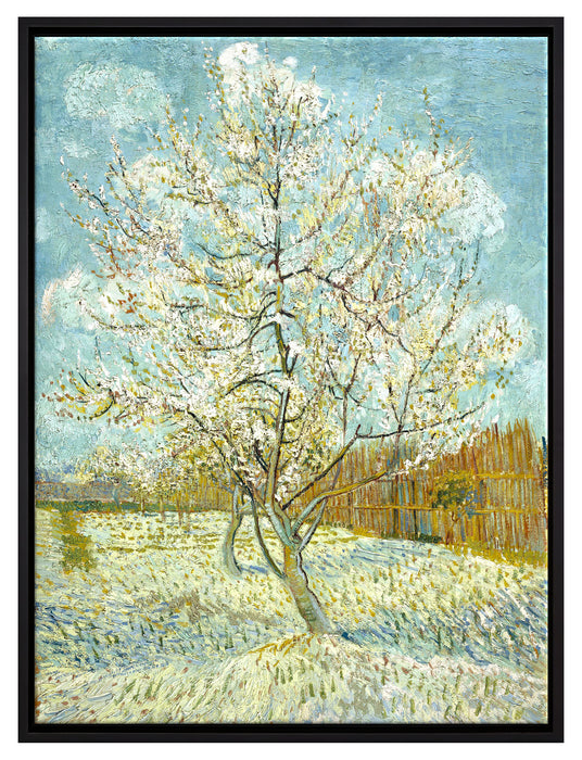 Vincent Van Gogh - Der pinke Pfirsischbaum   auf Leinwandbild gerahmt Größe 80x60