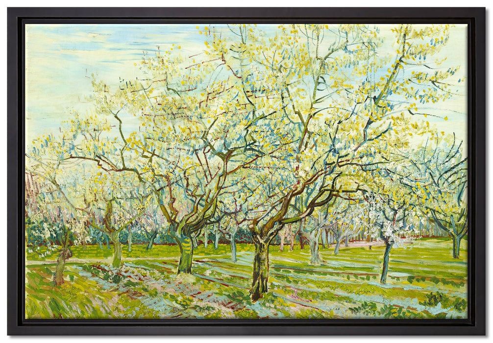 Vincent Van Gogh - Der weiße Obstgarten   auf Leinwandbild gerahmt Größe 60x40