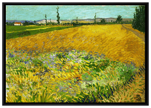 Vincent Van Gogh - Weizenfeld  auf Leinwandbild gerahmt Größe 100x70