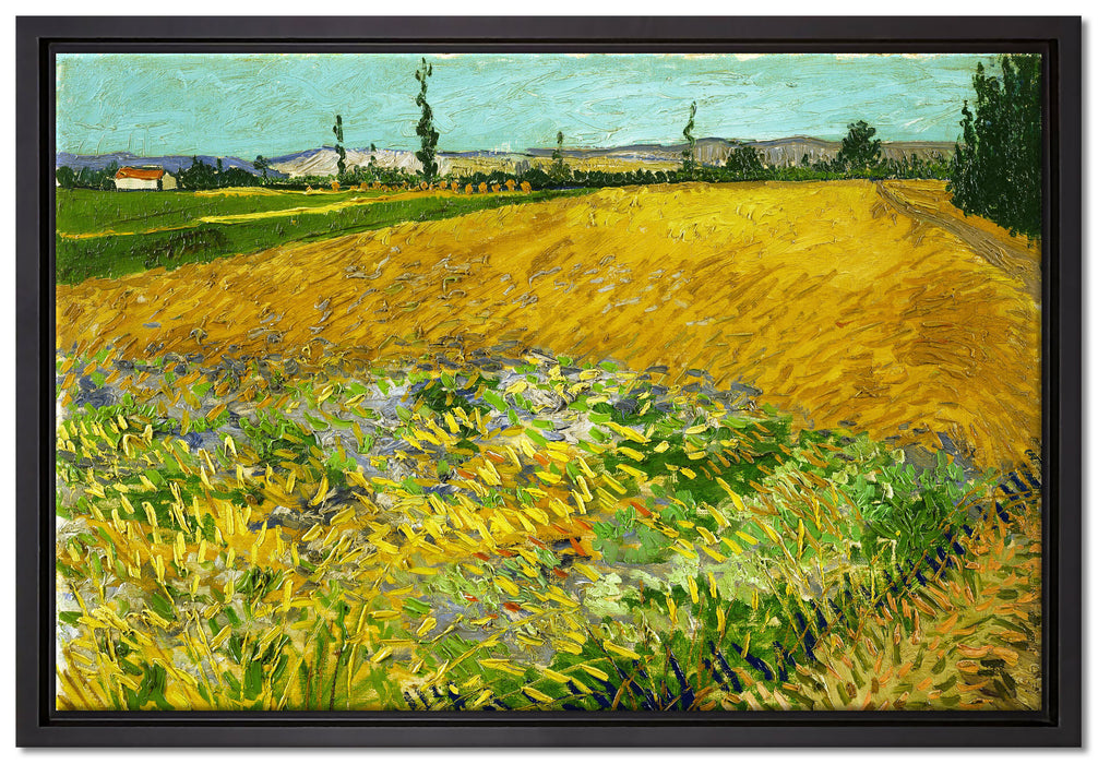 Vincent Van Gogh - Weizenfeld   auf Leinwandbild gerahmt Größe 60x40