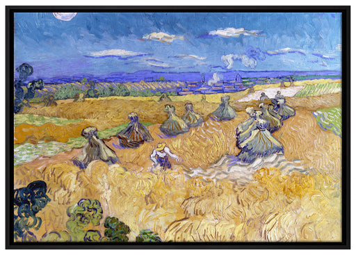 Vincent Van Gogh - Weizenfeld mit Mähern Auvers  auf Leinwandbild gerahmt Größe 100x70