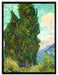 Vincent Van Gogh - Zypressen   auf Leinwandbild gerahmt Größe 80x60