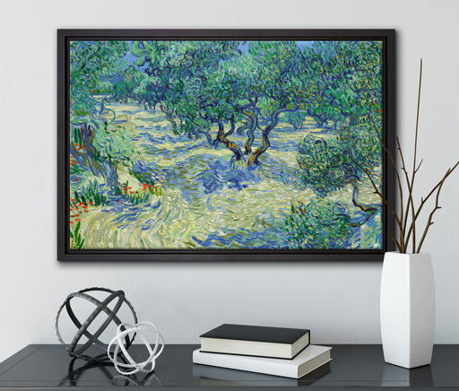 Vincent Van Gogh - Oliven-Feld  auf Leinwandbild gerahmt mit Kirschblüten