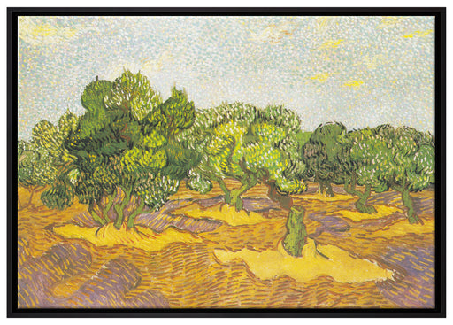Vincent Van Gogh - Oliven-Bäume II  auf Leinwandbild gerahmt Größe 100x70