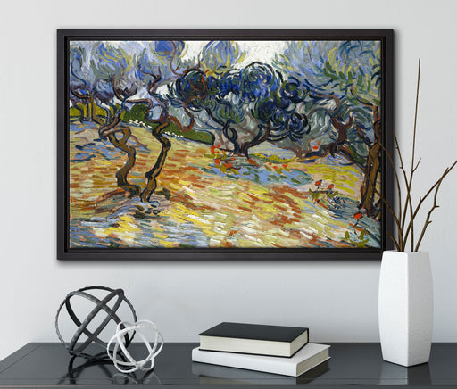 Vincent Van Gogh - Oliven-Bäume  auf Leinwandbild gerahmt mit Kirschblüten
