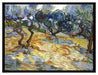 Vincent Van Gogh - Oliven-Bäume   auf Leinwandbild gerahmt Größe 80x60