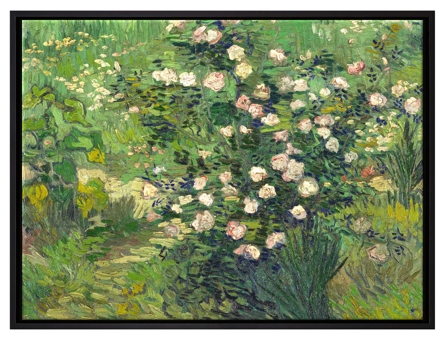 Vincent Van Gogh - Rosen   auf Leinwandbild gerahmt Größe 80x60