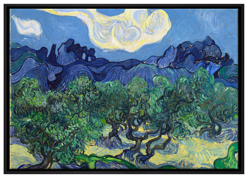 Vincent Van Gogh - Die Oliven-Bäume  auf Leinwandbild gerahmt Größe 100x70