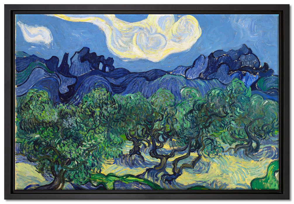 Vincent Van Gogh - Die Oliven-Bäume   auf Leinwandbild gerahmt Größe 60x40
