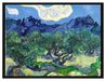 Vincent Van Gogh - Die Oliven-Bäume   auf Leinwandbild gerahmt Größe 80x60