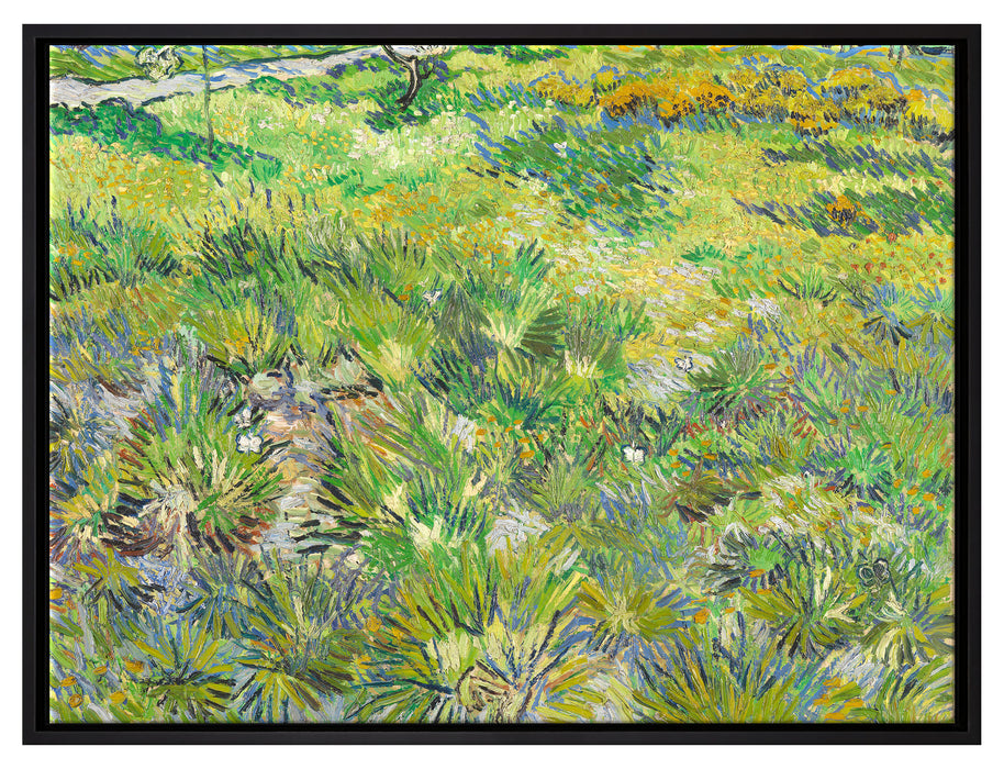 Vincent Van Gogh - Hohes Gras mit Schmetterlingen   auf Leinwandbild gerahmt Größe 80x60