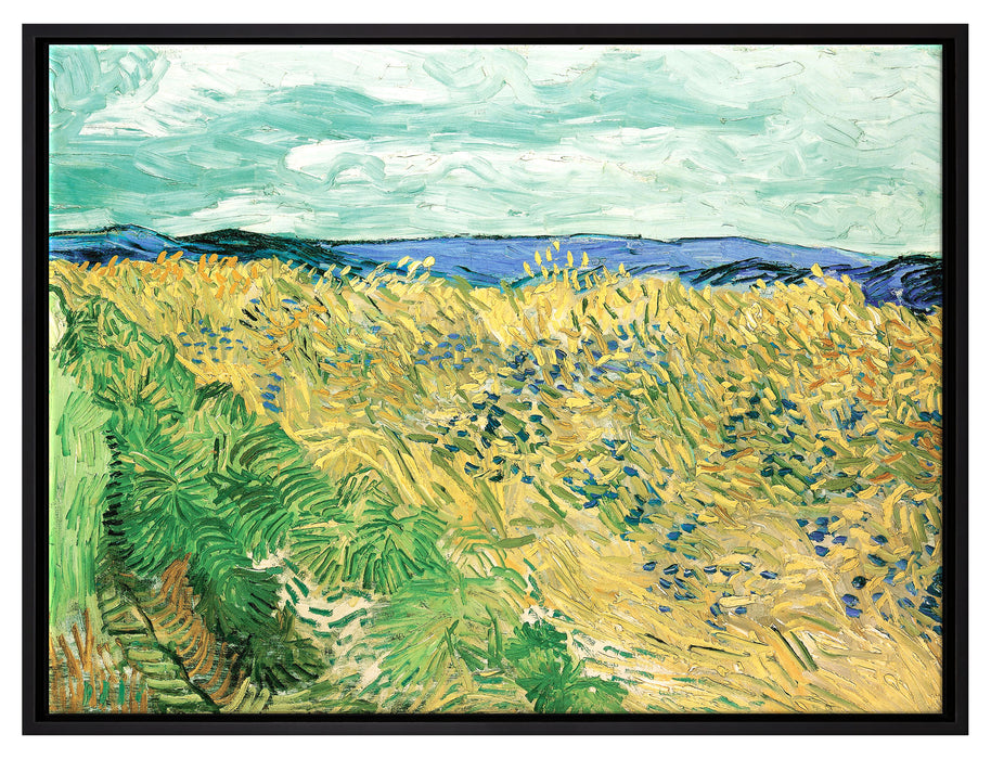 Vincent Van Gogh - Weizenfeld mit Kornblumen   auf Leinwandbild gerahmt Größe 80x60