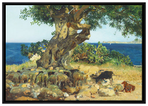 Joaquín Sorolla - Johannisbrotbaum Algarrobo auf Leinwandbild gerahmt Größe 100x70
