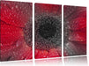 Rote Gerbera mit Wassertropfen Leinwandbild 3 Teilig