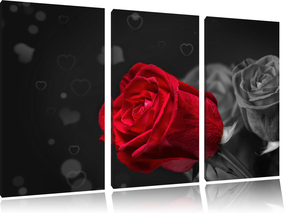 rote Rosen zum Valentinstag Leinwandbild 3 Teilig