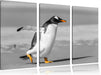watschelnder Pinguin am Strand Leinwandbild 3 Teilig