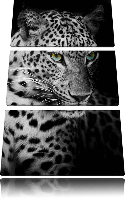 Leopardenkopf Leinwandbild 3 Teilig