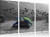 Schildkröte im Ozean Leinwandbild 3 Teilig