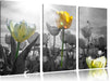 wunderschöne Tulpenwiese Leinwandbild 3 Teilig
