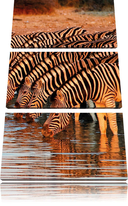 Safari mit Zebras in Afrika Leinwandbild 3 Teilig