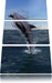 Delphin sprint im Meer Leinwandbild 3 Teilig