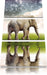 Elefant mit Sternenhimmel Leinwandbild 3 Teilig