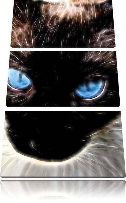 Siamkatze mit Augen Leinwandbild 3 Teilig