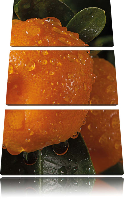 Wassertropfen auf Orangen Leinwandbild 3 Teilig