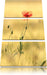 Blumen im Feld Tulpen Leinwandbild 3 Teilig