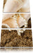 Muschel mit Perle Sand Strand Leinwandbild 3 Teilig