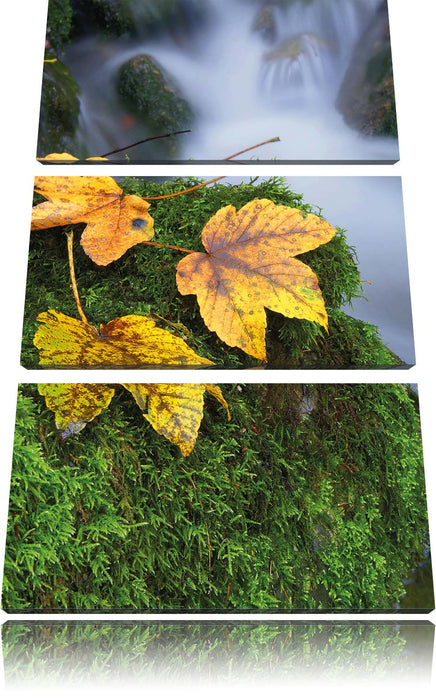 Herbst Gräser Wald Leinwandbild 3 Teilig