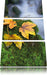 Herbst Gräser Wald Leinwandbild 3 Teilig
