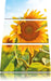 Sonnenblumenfeld SonnenblumeSonne Leinwandbild 3 Teilig