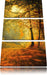 Wald im Herbst Leinwandbild 3 Teilig