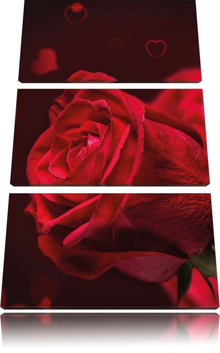 Rote Rosen Valentinstag Leinwandbild 3 Teilig