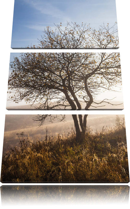 Baum im hohen Gras Leinwandbild 3 Teilig