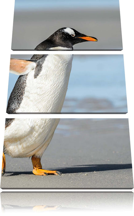 Pinguin am Strand Leinwandbild 3 Teilig
