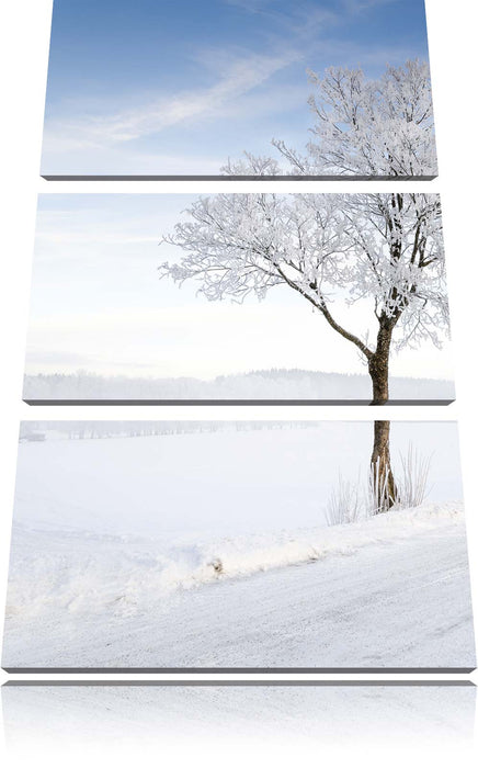 Baum im Schnee Leinwandbild 3 Teilig
