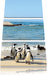 Pinguine am Strand Leinwandbild 3 Teilig