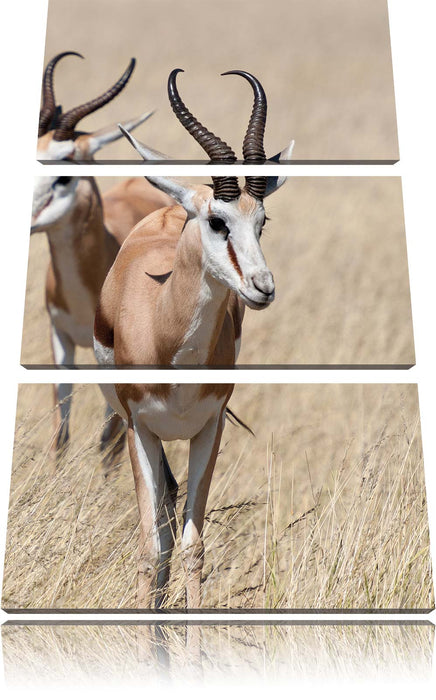 Tiere in Savanne Rehe Afrika Leinwandbild 3 Teilig